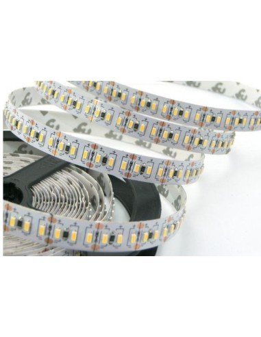 LED Strip 12V SMD3014 16 8W/mt 830 IP20 15