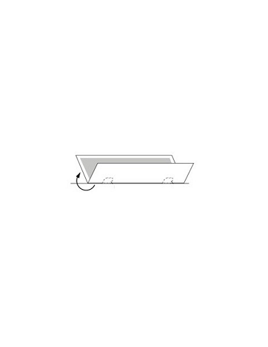 Extertronic Recambio Carton Adh. 239x261mm Filo/Su